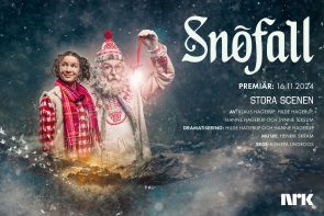 Snöfall